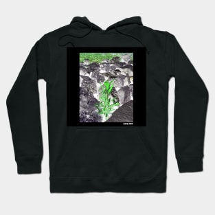 just leaf in ecopop negative photo cam wallpaper art Hoodie